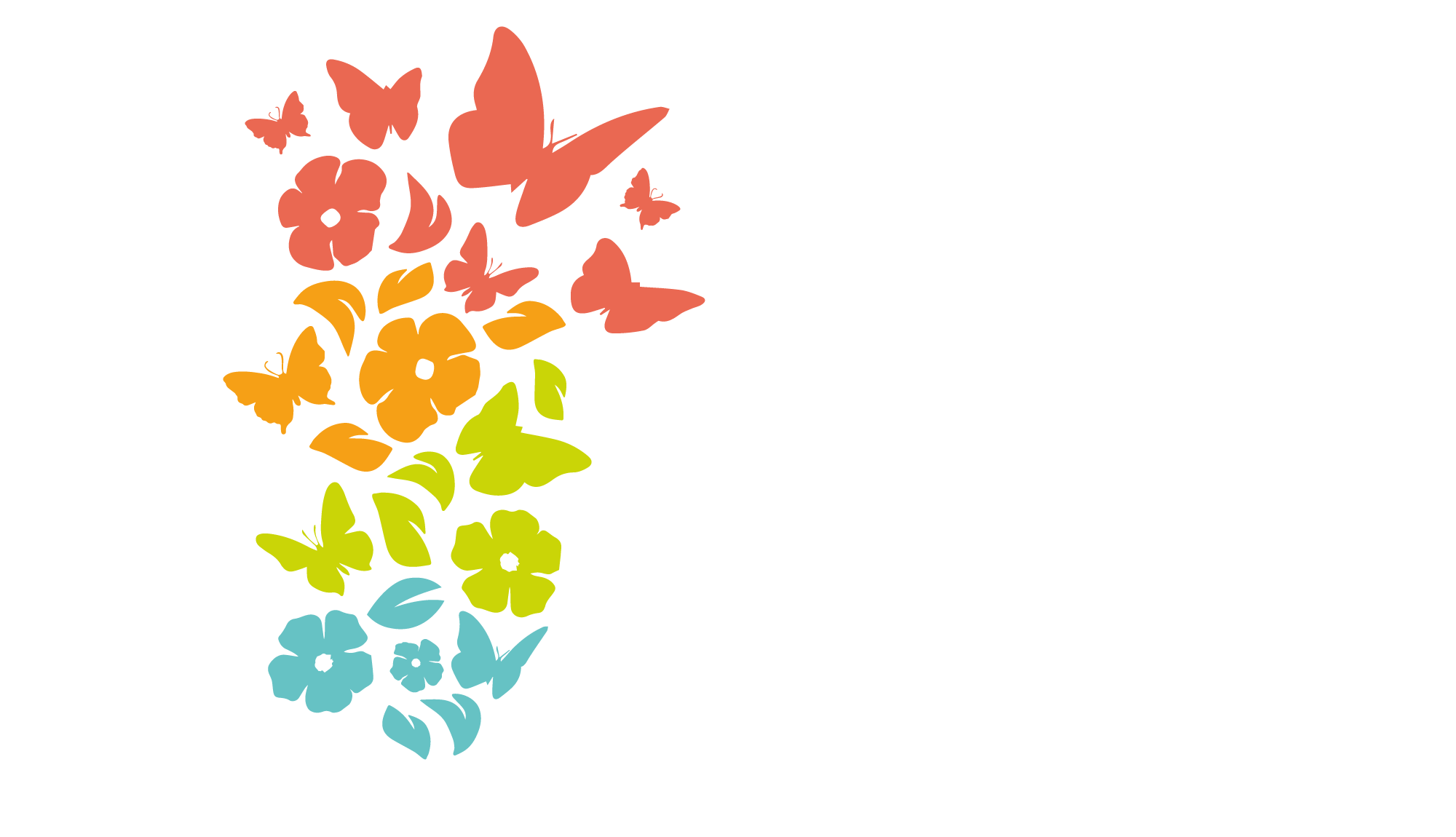 Imaginal Network